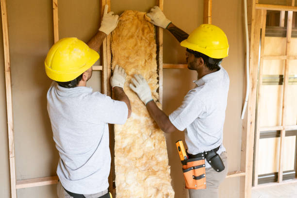 Insulation Inspection Services in Smyrna, DE